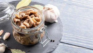 Leśniczy zdradza przepis na najlepsze marynowane grzyby. Goście oszaleją na ich punkcie