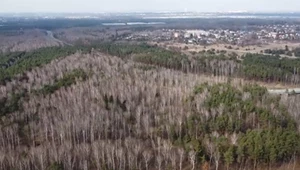 Fabryka Izery - Jaworzno gotowe na specustawę w jej sprawie