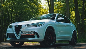 Alfa Romeo Stelvio Quadrifoglio