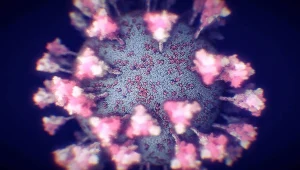 Czy szczepionki będą skuteczne na wariant Lambda?