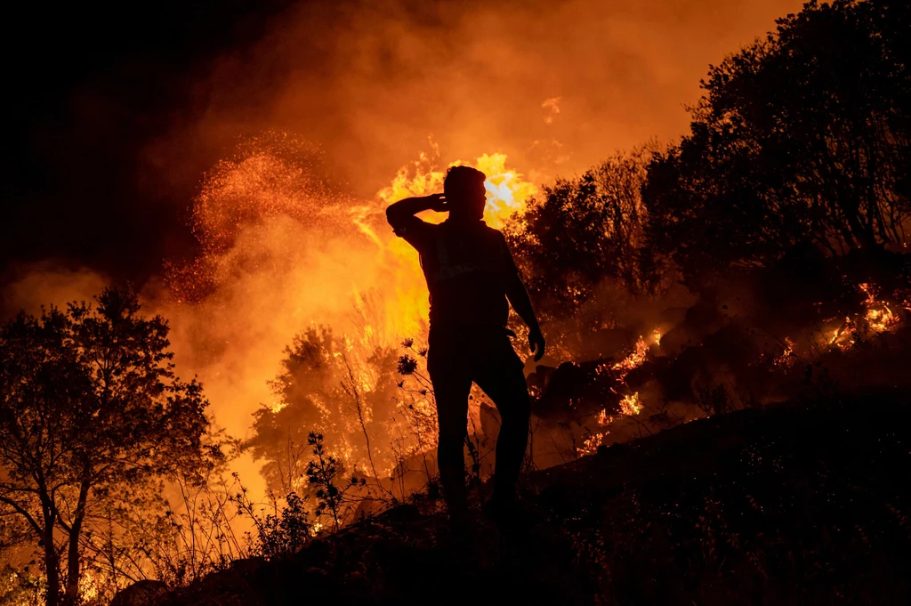 Pożar lasu w Turcji.
