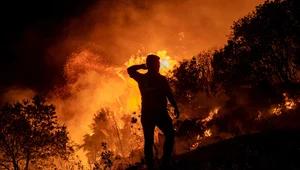 Naukowcy: To człowiek najczęściej powoduje pożary lasów