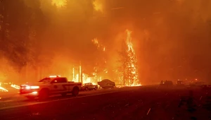 ​Apokaliptyczna strona internetowa. Pokazuje zmiany klimatu tam, gdzie mieszkasz