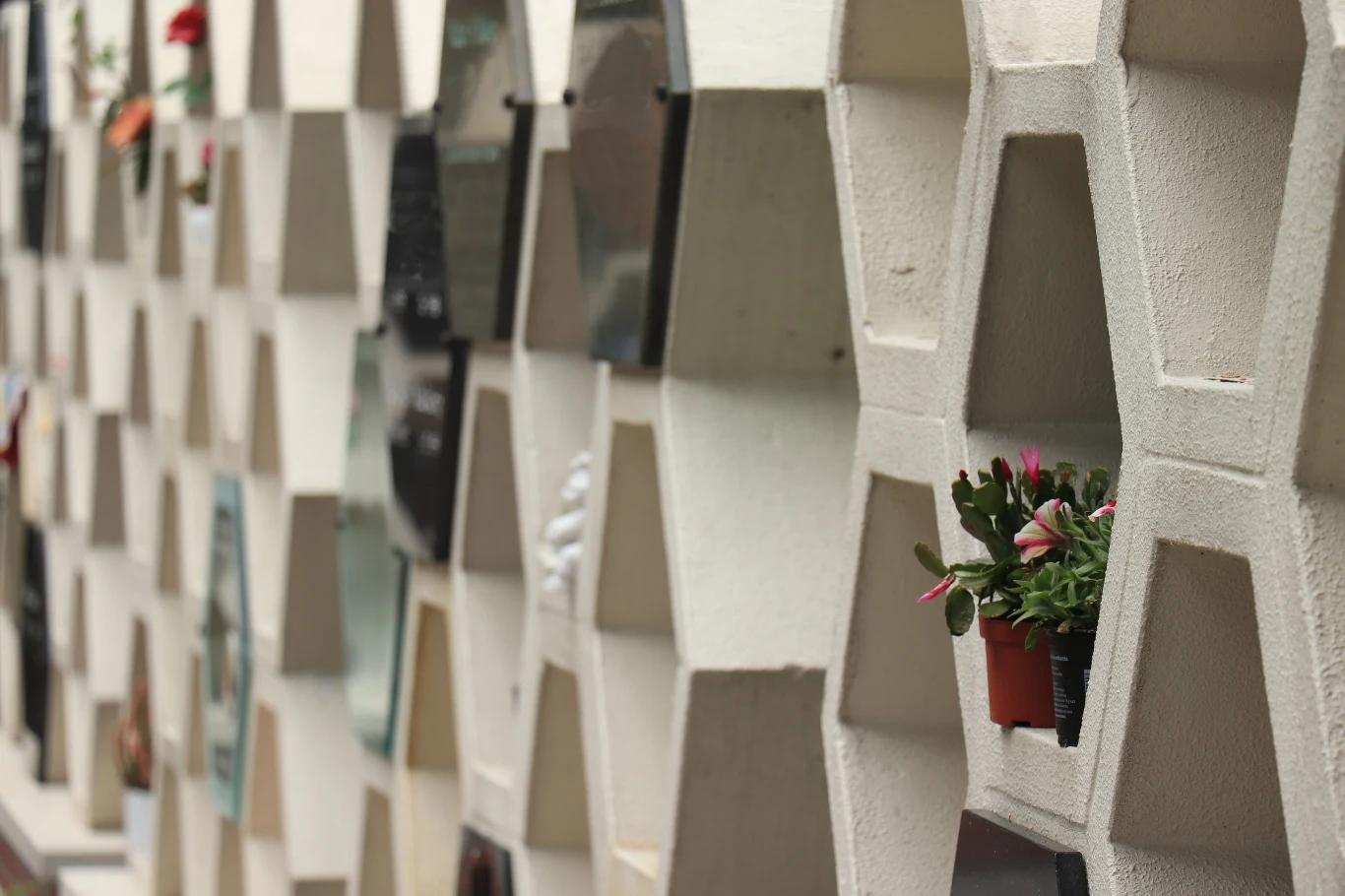 Energia z kremacji. W Wielkiej Brytanii kremuje się ciała blisko 79% osób. Rocznie jest dokonuje się kremacji na niecałym pół milionie ciał w 300 krematoriach w całym kraju. Energia cieplna pochodząca ze spopielania zwłok mogłaby być wykorzystywana podgrzewania wody w gospodarstwach domowych. Zresztą już podobny projekt funkcjonuje w UK – w Redditch energia cieplna z krematorium ogrzewa wodę w pobliskim basenie.