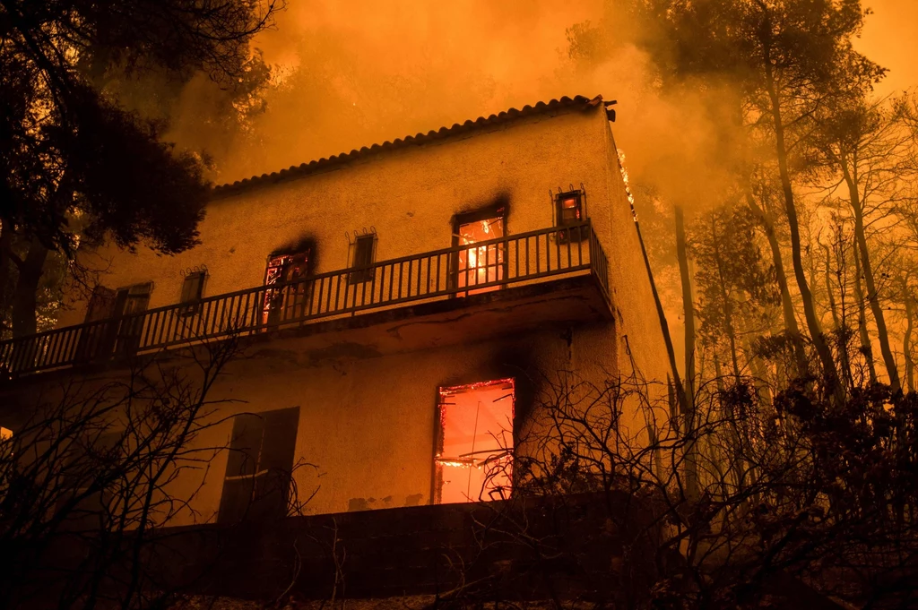 Pożar na greckiej wyspie Evia