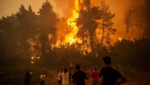 Nieustające pożary w Grecji. Mieszkańcy mówią o "końcu raju"