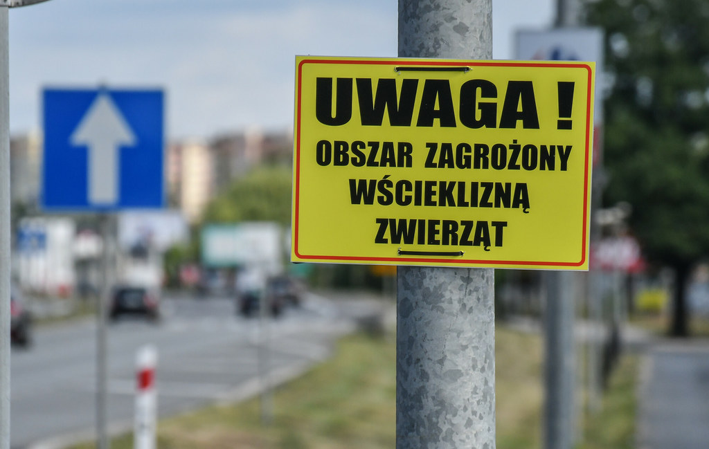 Ostrzeżenie przed wścieklizną