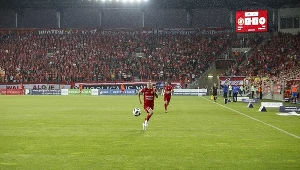 Co piszczy w trawie w murawie. "Udręką polskich greenkeeperów są trenerzy"