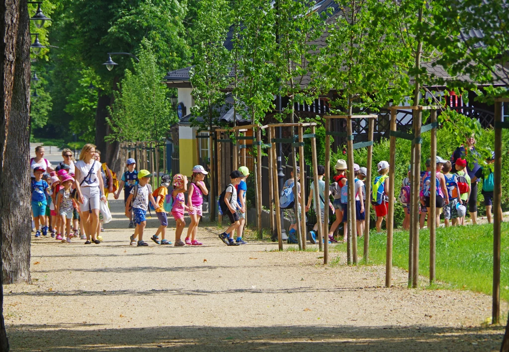 Wychowawca ma określoną liczbę dzieci w grupie, którą się zajmuje