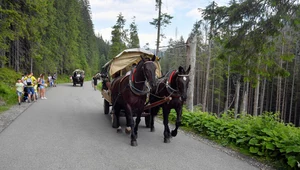 Tłumy w Tatrach to niejedyny problem. Największe grzechy turystów