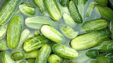 ​Namocz w tym ogórki, zanim zaczniesz je kisić. Będą doskonale twarde i chrupiące