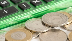Zgodna z oczekiwaniami decyzja RPP wpłynęła pozytywnie na złotego