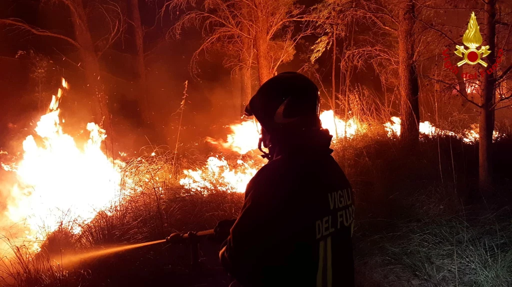 Strażacy walczą z pożarem niedaleko wioski Erice na Sycylii