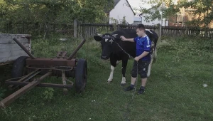 11-letni bohater najbliższego odcinka programu "Wolni od długów" jest zadłużony na 30 tysięcy złotych