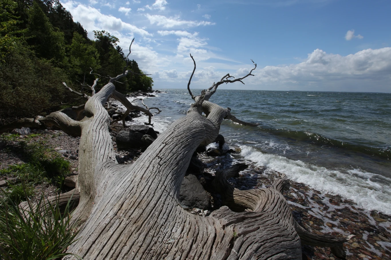 Historia Bałtyku jest niezwykle krótka w sensie geologicznym, ale za to niezwykle dynamiczna Historia Bałtyku jest niezwykle krótka w sensie geologicznym, ale za to niezwykle dynamiczna
