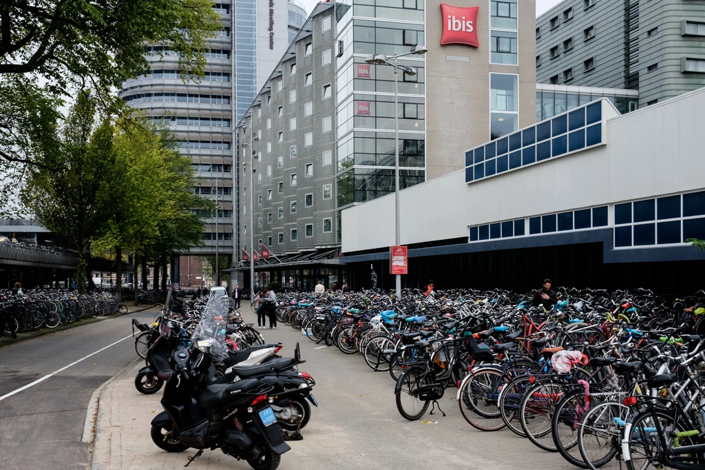 Parking rowerowy w Amsterdamie.