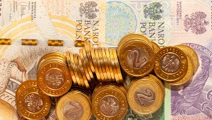 Kursy walut. Ile kosztują euro, dolar i frank szwajcarski w piątek 27 grudnia 2024 r.? Zdj. ilustracyjne