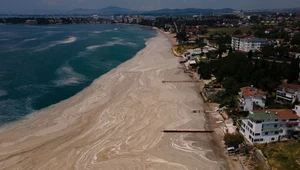 ​Morze Marmara umiera. Obszar pokryty śluzem największy w historii