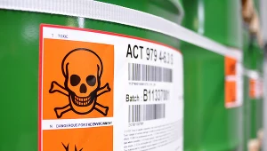 zdjęcie ilustracyjne