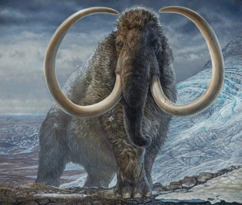 Mamuty przemierzały tysiące kilometrów. Obraz Jamesa Havensa ze zbiorów Muzeum University of Alaska Fairbanks
