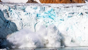 Topiące się lody zduszą życie w oceanie? Naukowcy ustalili, jak wpływają na najważniejszy element łańcucha pokarmowego