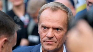 Szef PO Donald Tusk.