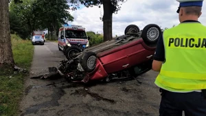 Pasażerka przestraszyła się pająka, kierowca dachował