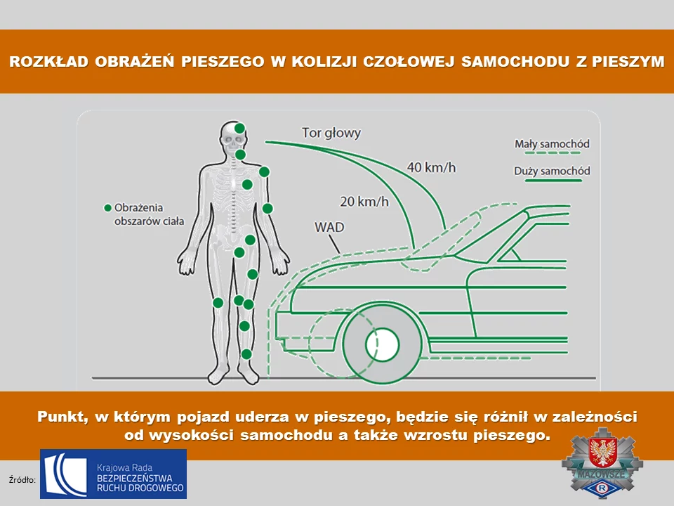 Co się dzieje w czasie kolizji z pieszym?