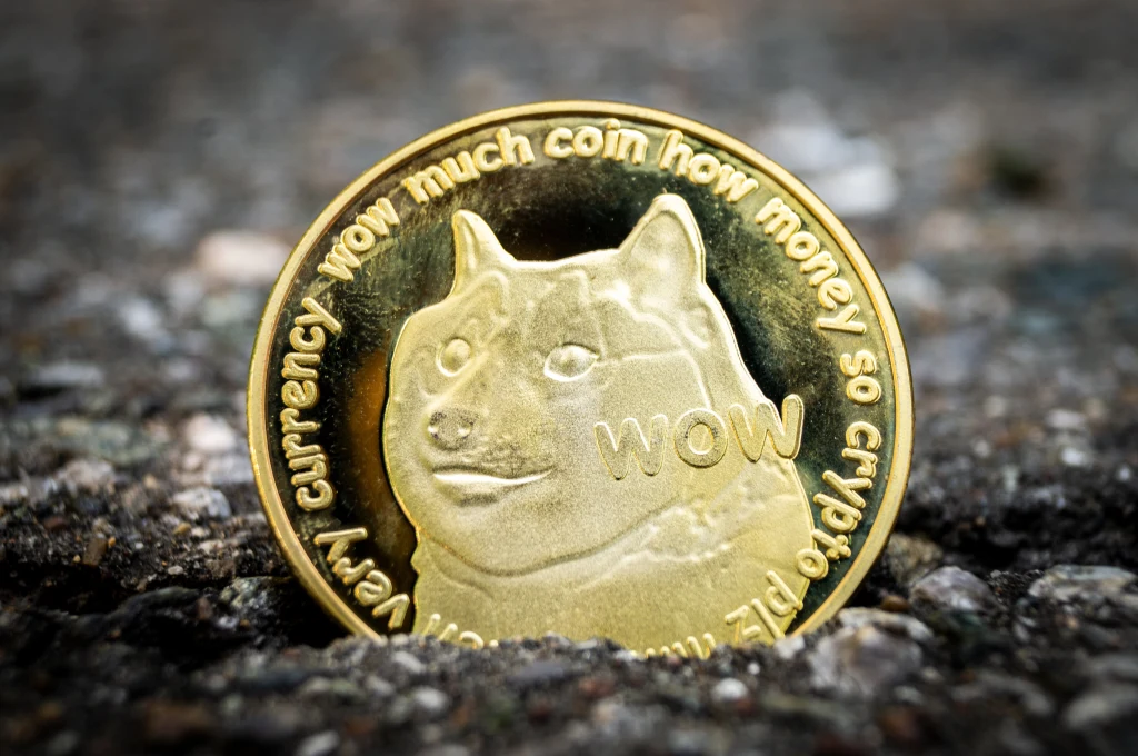 Dogecoin rósł jak na drożdżach! Teraz traci...