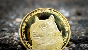 Dogecoin rósł jak na drożdżach! Teraz traci...