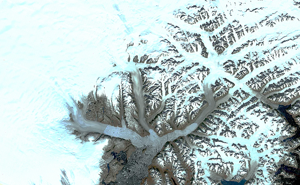 Lód z topniejącej Grenlandii tylko tego lata był wystarczający do podniesienia globalnego poziomu mórz o 1,5 mm. 