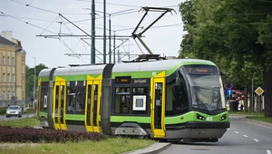 Kierowcy często gubią się na widok tramwaju...