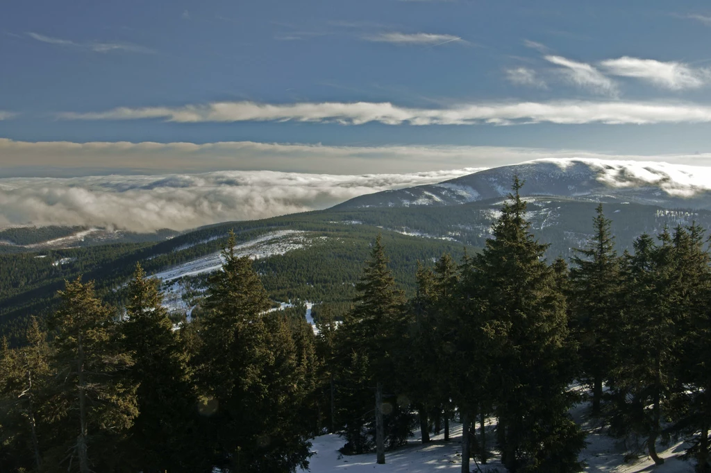 Widok z Czarnej Góry na Śnieżnik Kłodzki