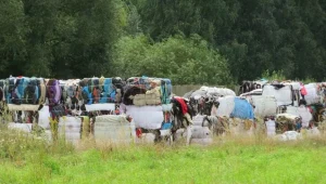 Pakunki z ubraniami pojawiły się na działce w Chwaliszowie na Dolnym Śląsku