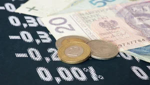 Ile kosztują dolar, euro i frank 21 lipca 2025 roku? Zdj. ilustracyjne