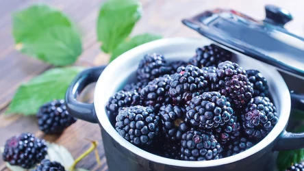 Dżem z jeżyn skutecznie wzmacnia organizm i poprawia samopoczucie