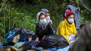 Awantura o „kota z Afganistanu”. „Tłuściutki ten kotek”