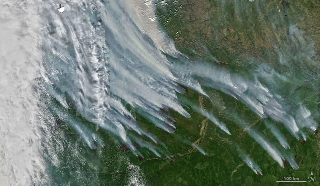 Widoczny z kosmosu dym z pożarów na Syberii