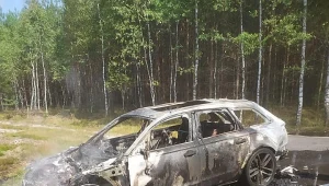 Audi RS6 warte 400 tys. zł spłonęło w pomorskich lasach niedaleko Czerska