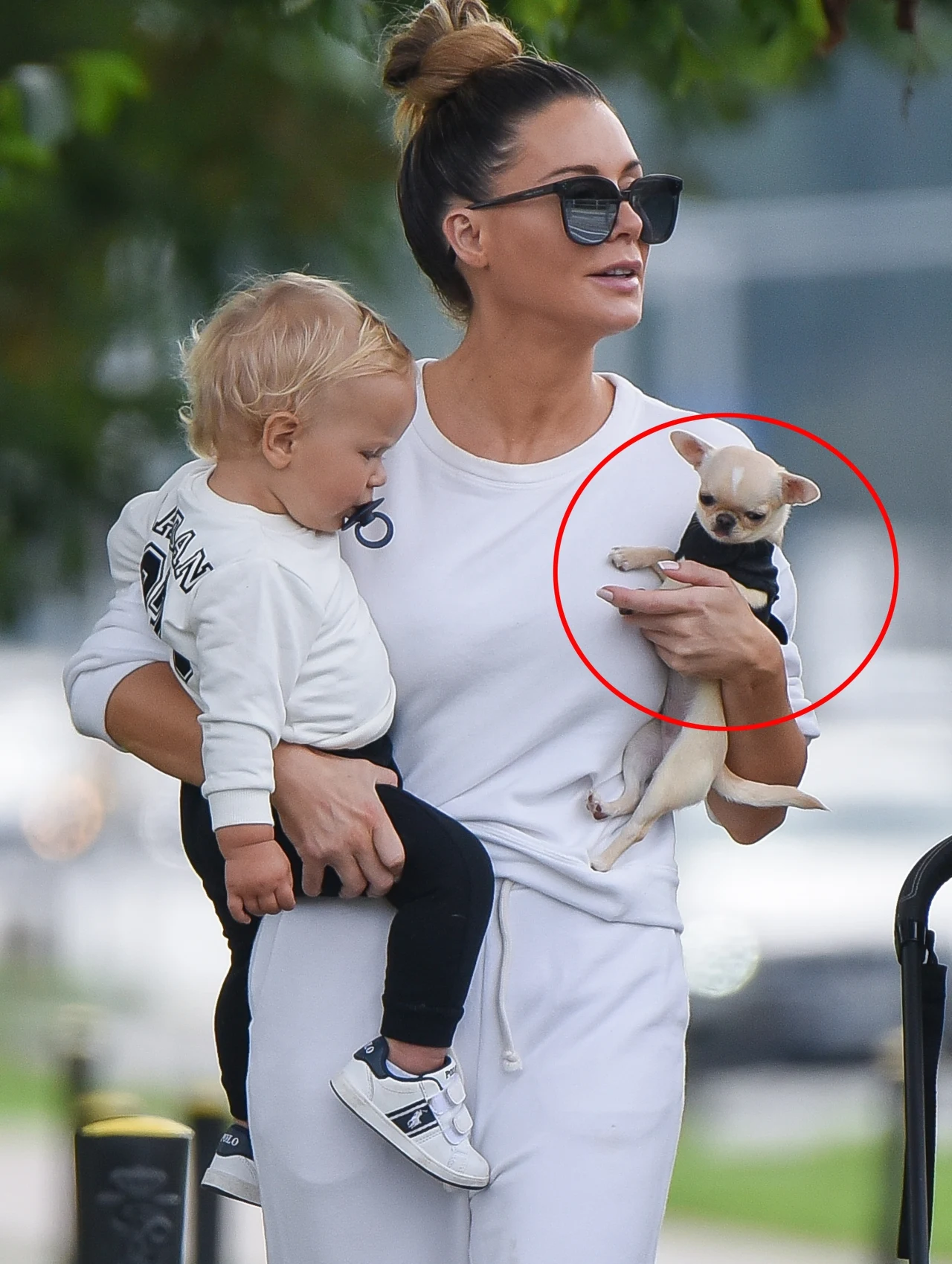 Małgorzata Rozenek-Majdan, Radosław Majdan, Henryk i nowy piesek