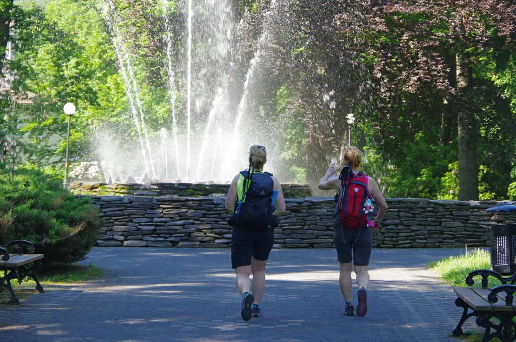 Miejsca, w których jest wilgotno, są najbardziej narażone na występowanie ślimaków