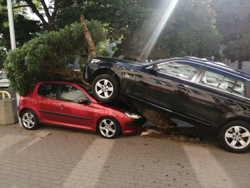 Kierowca BMW po ułamanym konarze wjechał na Peugeota