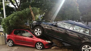 Niezwykła kolizja. Kierowca BMW zaparkował na Peugeocie