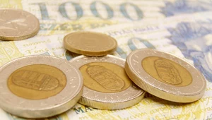Narodowy Bank Węgier podniósł główną stopę proc. o 30 pb do 1,50 proc.
