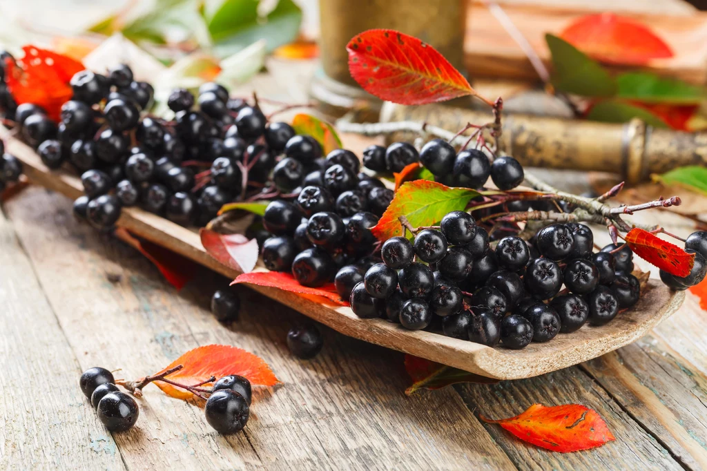 Aronia zaliczana jest do superfoods