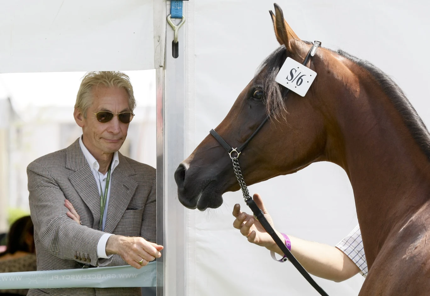 Charlie Watts w Janowie Podlaskim - 2010 r. Charlie Watts w Janowie Podlaskim - 2010 r.