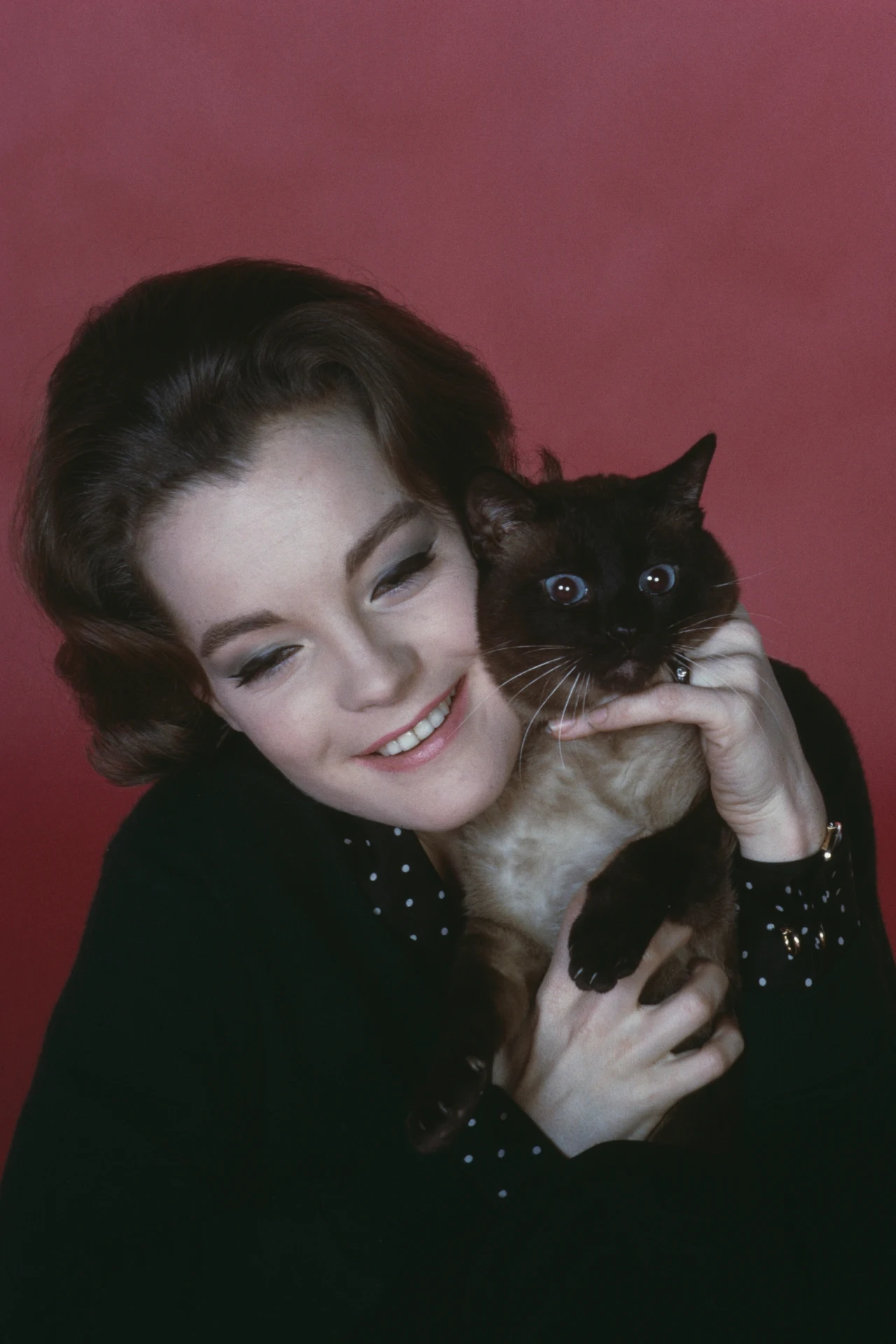 Romy Schneider w 1965 roku 