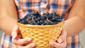 Ma mnóstwo witamin i błonnika, a do tego chroni oczy. Polacy rzadko wybierają ten owoc