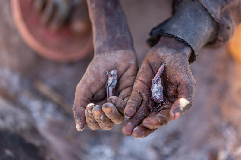 Ponad 1.1 mln ludzi na południu Madagaskaru nie jest w stanie wyżywić się z powodu największej od 40 lat suszy. Fot. WFP/Tsiory Andriantsoarana