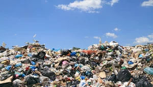 Przestępstwa przeciwko naturze. Jakie odpady składuje się nielegalnie?